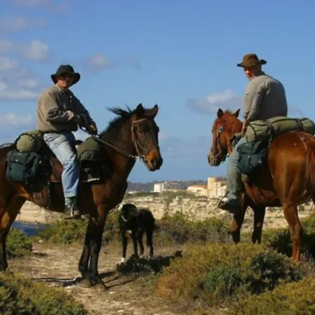 索勒马尔酒店 3* 博尼法乔